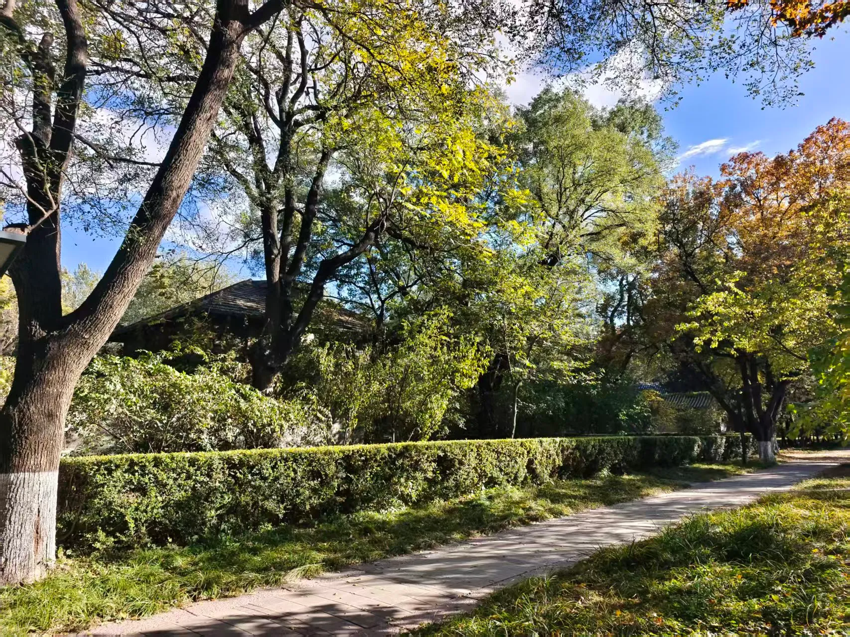 Autumn in PKU