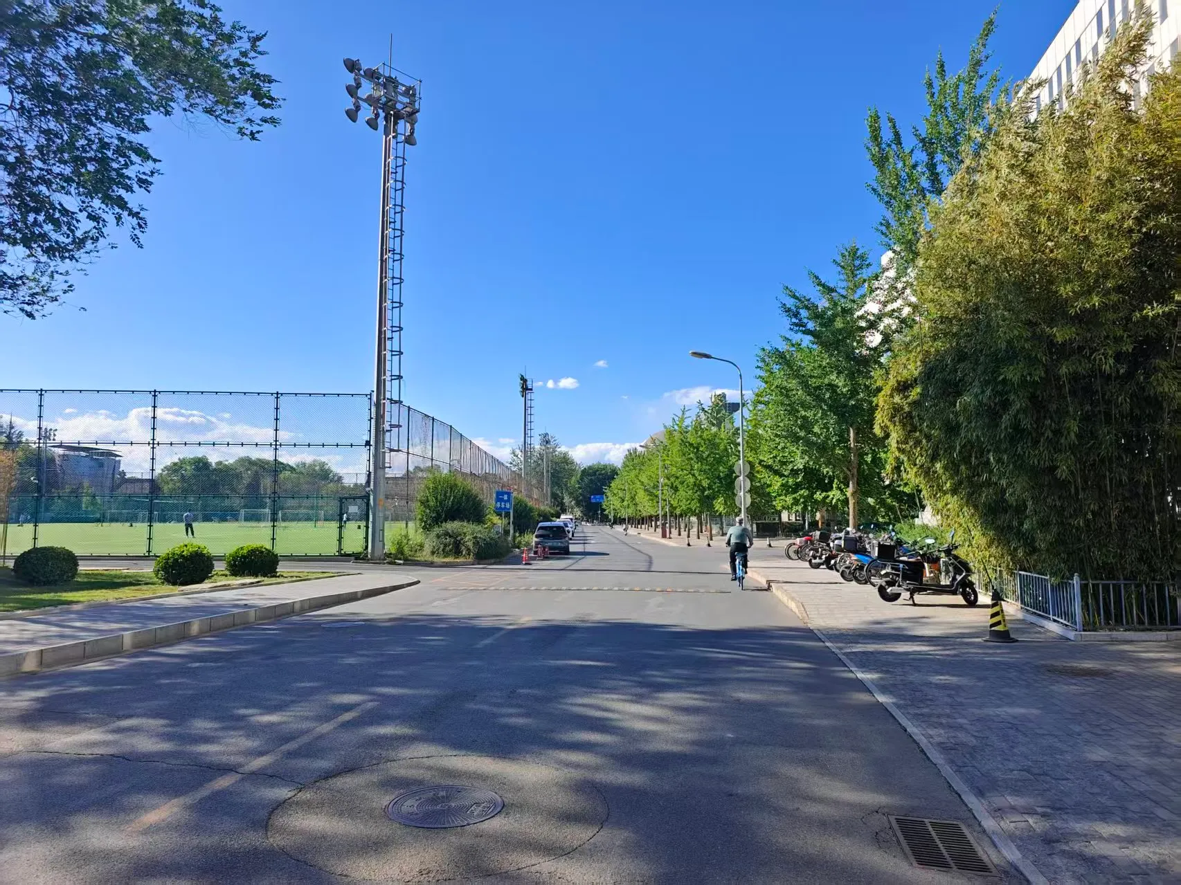 Summer in PKU