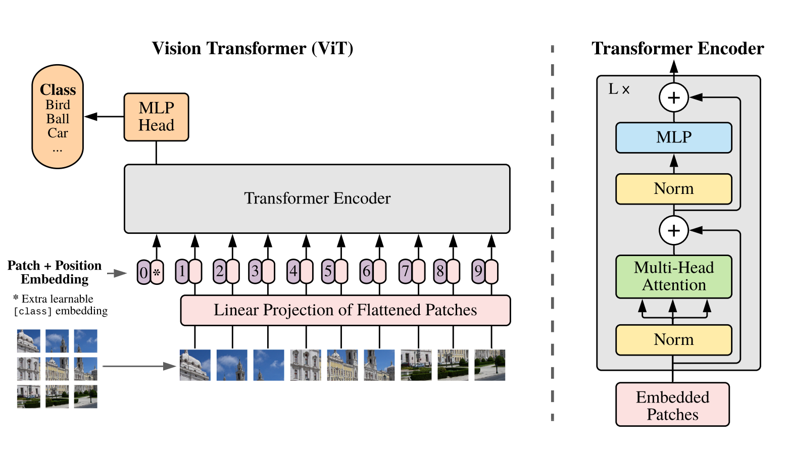 Vision Transformer 结构图：输入图像被切成 9 个 patch，每个 patch 展平后经过线性投影得到 patch embedding，加上可学习的位置编码，前面拼接一个 [class] token，整个序列送入标准 Transformer Encoder，最后取 class token 的输出接 MLP 分类头。