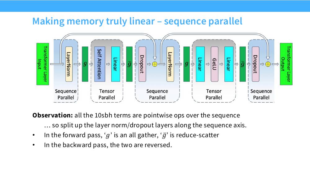 Transformer 层的分区图：LayerNorm 和 Dropout 区域标为 Sequence Parallel，Self-Attention 和 MLP 区域标为 Tensor Parallel，中间用 g 和 g-bar 转换